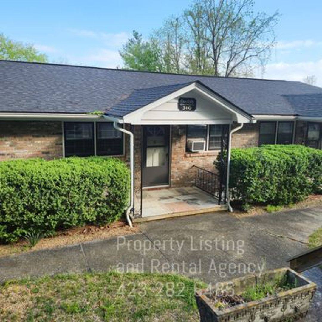 Apartment for rent at 310 W Chestnut St, Johnson City, TN 37604