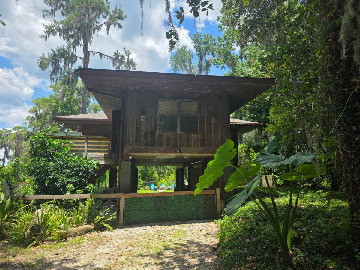 House for rent at 20810 NE 132nd Ave, Waldo, FL 32694