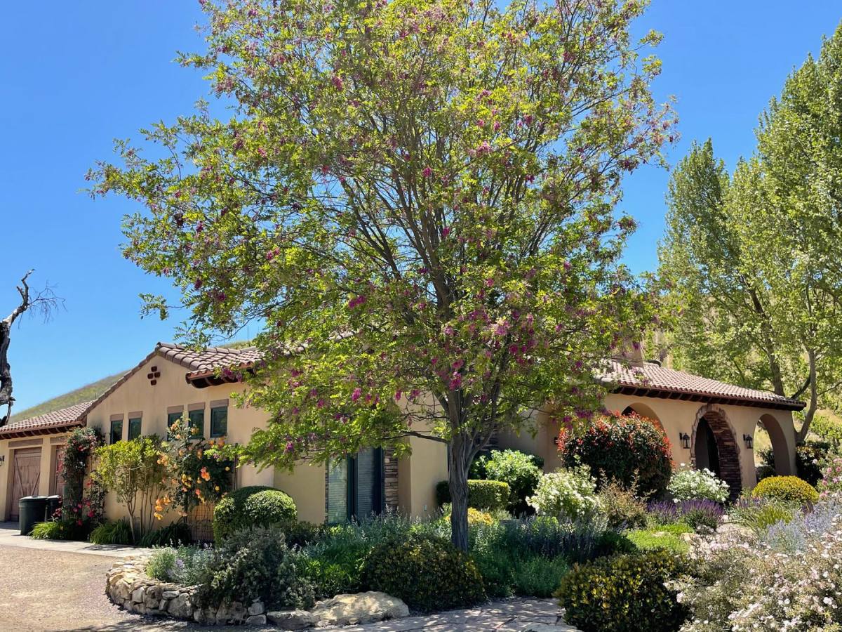 House for rent at 3130 Oakdale Rd, Paso Robles, CA 93446