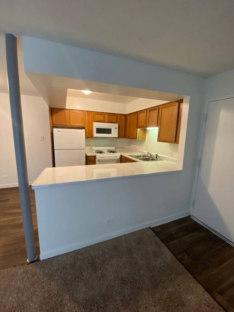 Apartment for rent at 871 Burnham Dr, University Park, IL 60484
