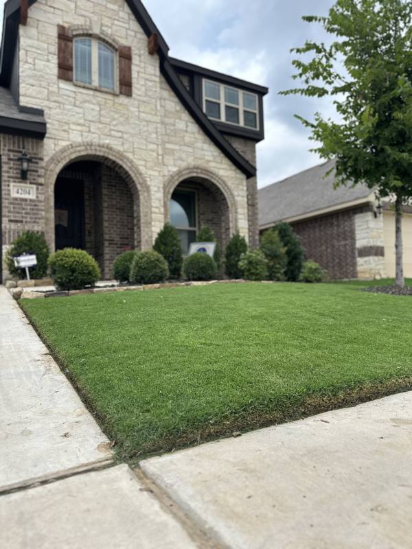 House for rent at 4204 Dublin Ridge Dr, Crowley, TX 76036