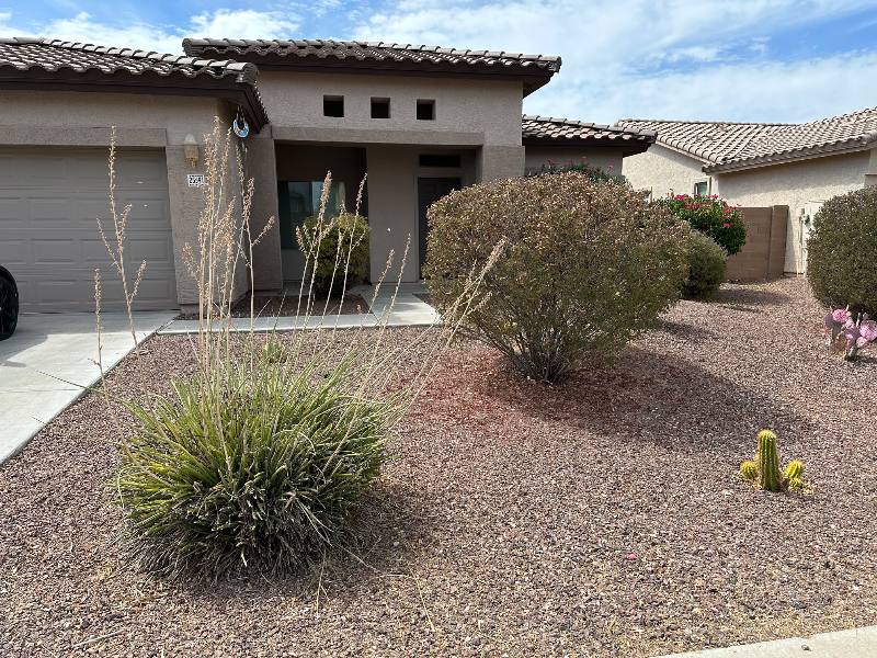 House for rent at 25591 W St Catherine Ave, Buckeye, AZ 85326
