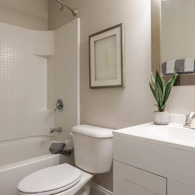 Apartment for rent at Summerfield Homes, 7900 Rocky Mount Rd, North Charleston, SC 29418