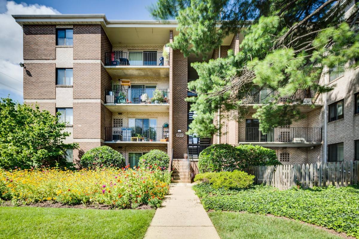Apartment for rent at 7517 Blair Rd #203, Takoma Park, MD 20912