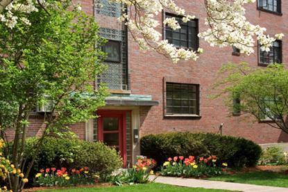 86 Saint Paul St, Brookline, MA 02446