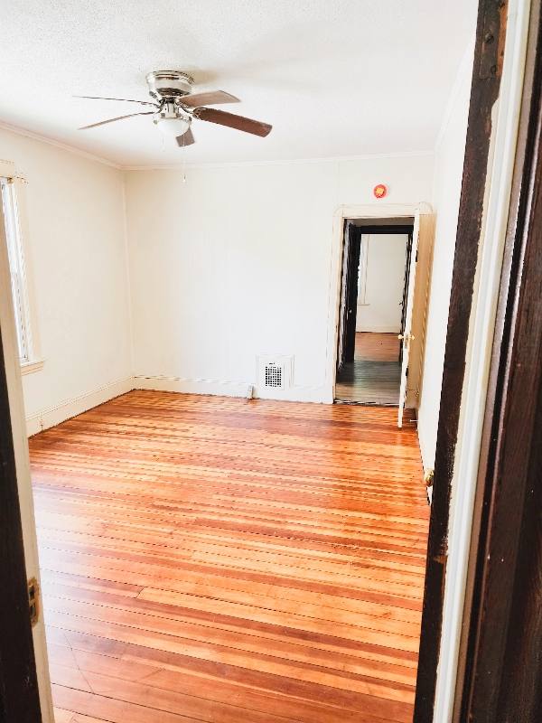 Apartment for rent at 235 College St - 1st- Floor, Springfield, MA 01109