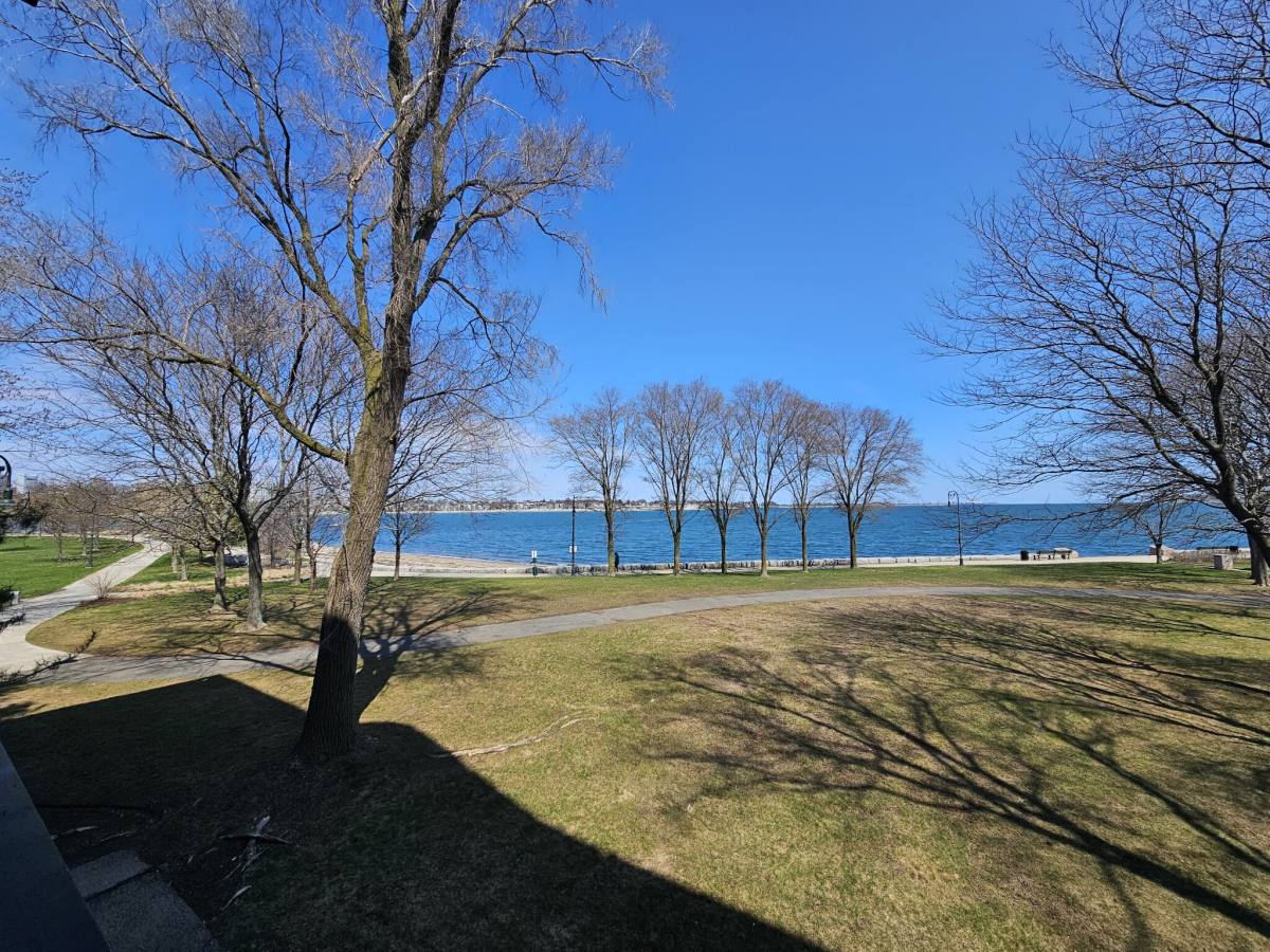 Apartment for rent at 65 N Point Dr #206, Dorchester, MA 02125