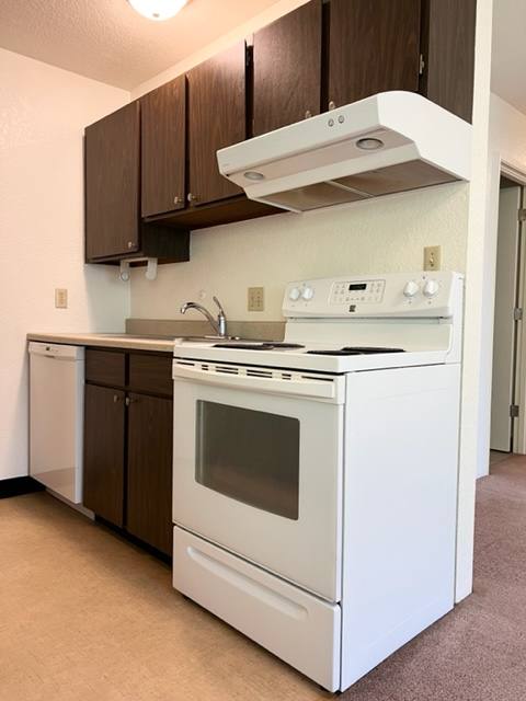 3933 1st Ave NE #313, Seattle, WA 98105
