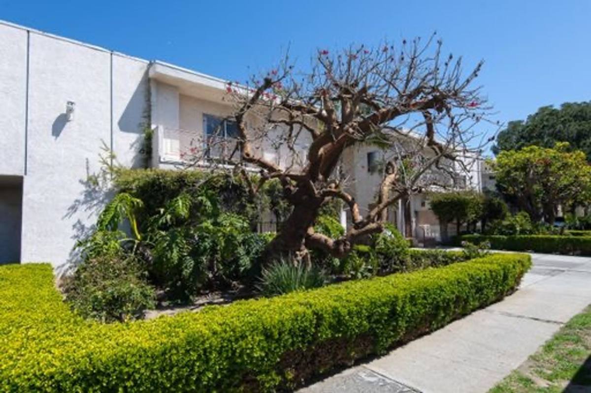 Apartment for rent at 3742-50 Bentley Ave, Los Angeles, CA 90034