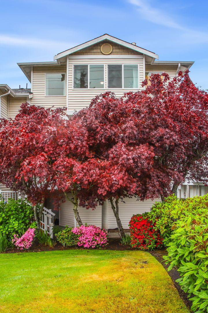 Townhouse for rent at 4133 156th St SW, Lynnwood, WA 98037