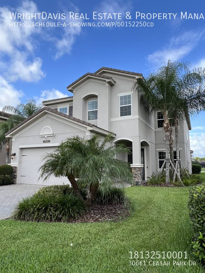House for rent at 30661 Ceasar Park Dr, Wesley Chapel, FL 33543