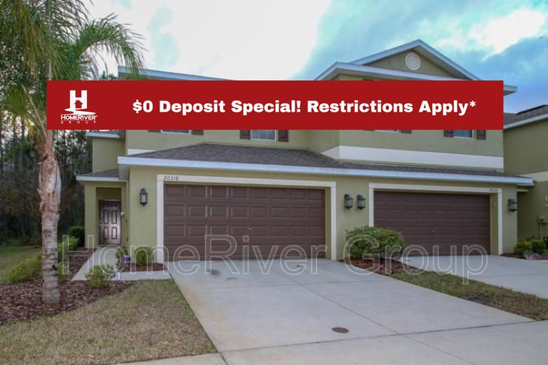 Townhouse for rent at 20318 Starfinder Way, Tampa, FL 33647