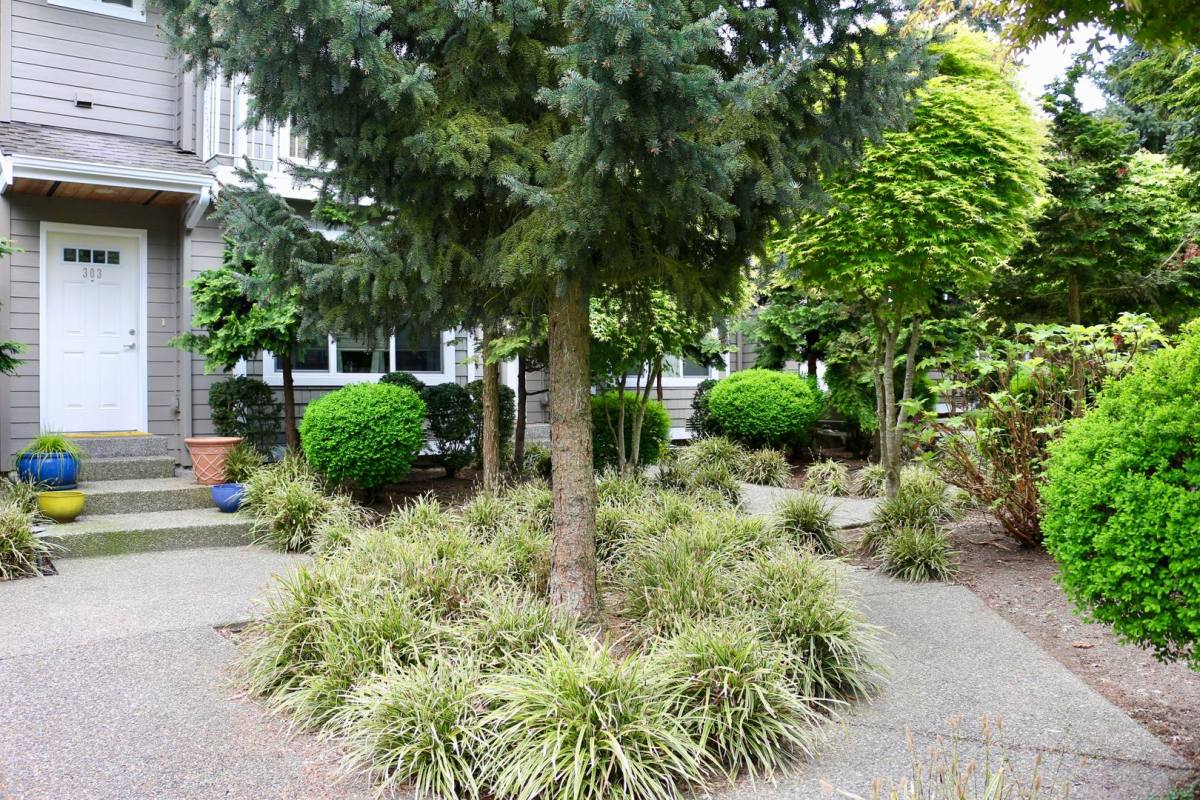 12545 Roosevelt Way NE, Seattle, WA 98125