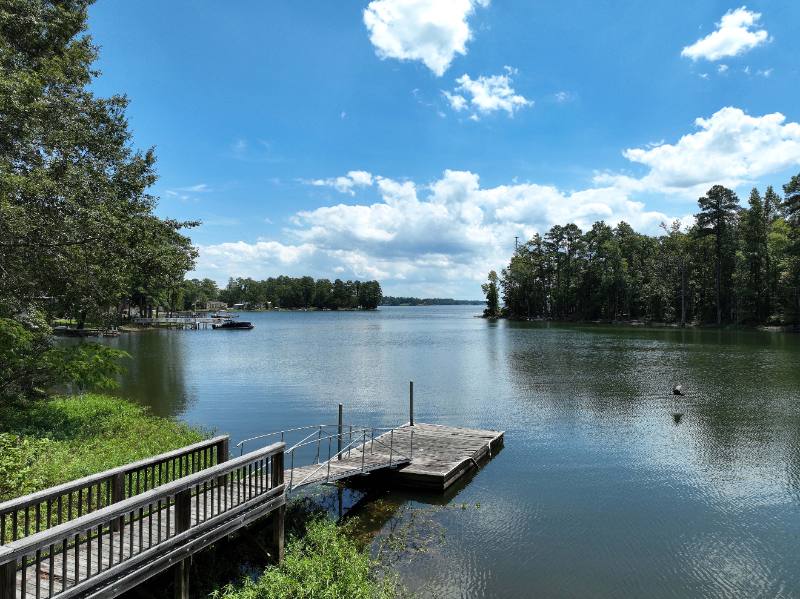 House for rent at 425 Shamrock Court, Chapin, SC 29036