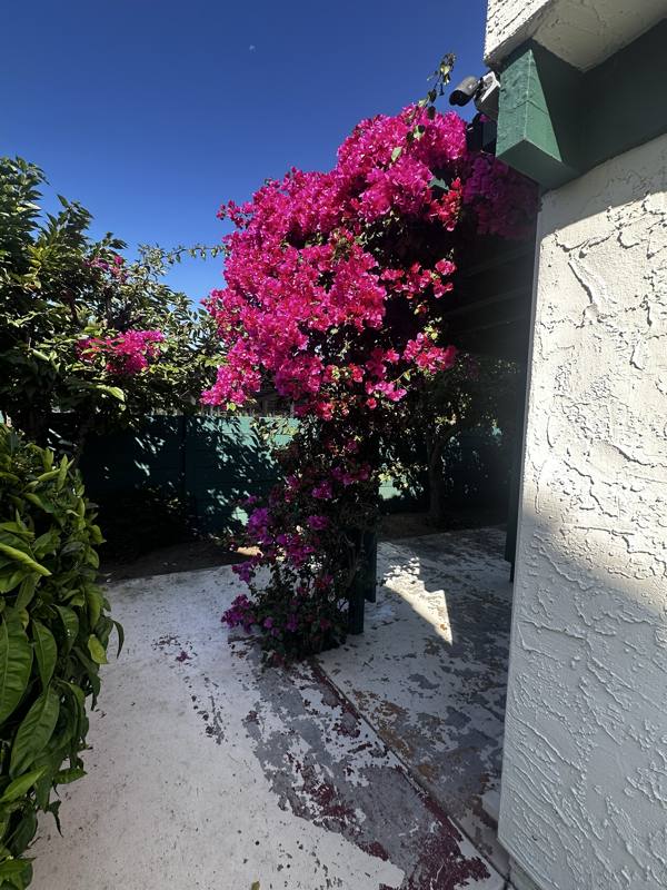 Townhouse for rent at 351 Hans Way, San Jose, CA 95117