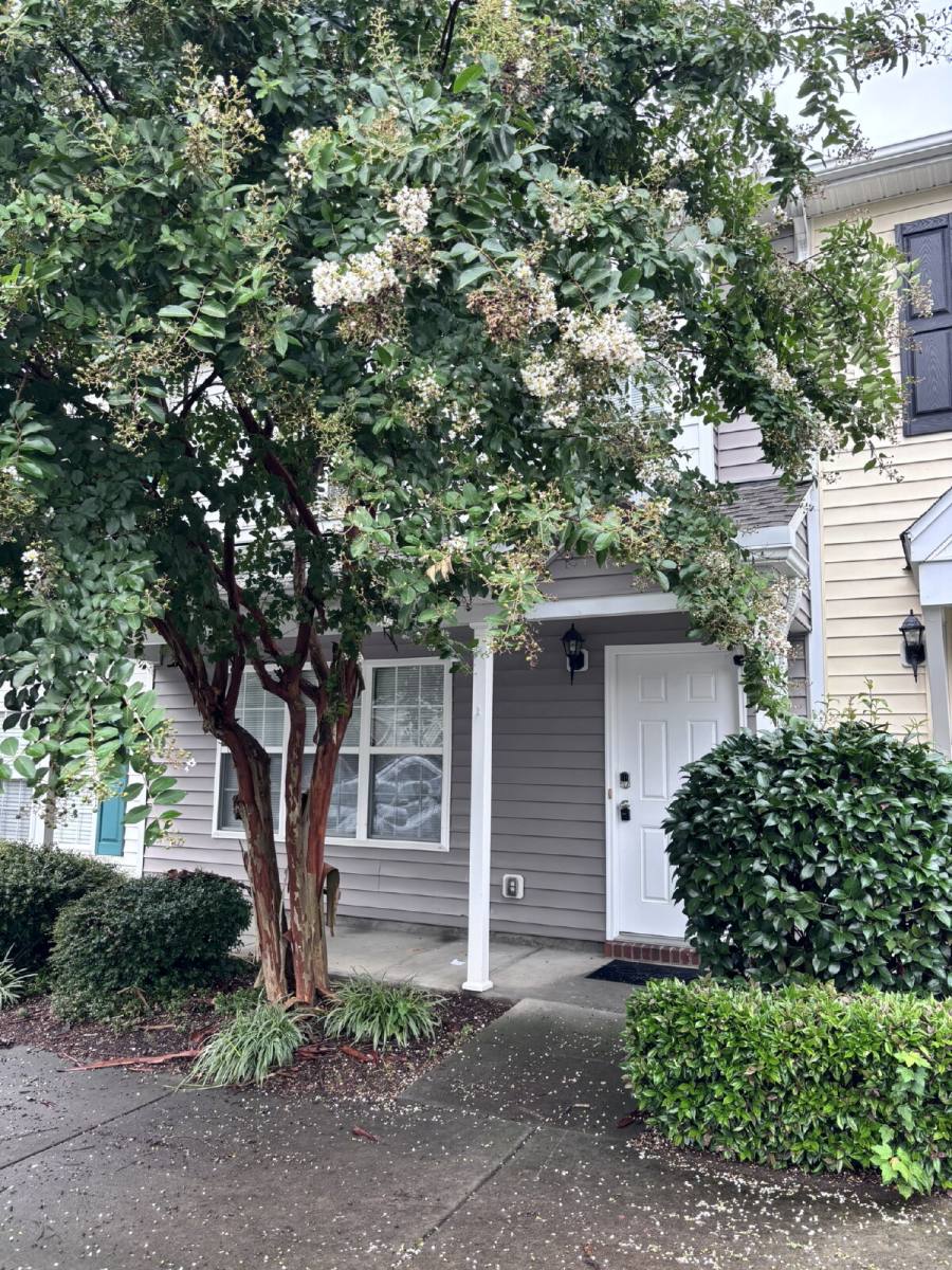 Townhouse for rent at 8024 River Gold Lane, Raleigh, NC 27616