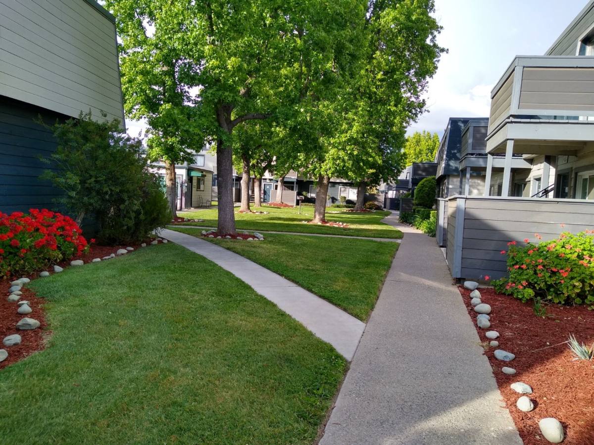 Apartment for rent at 1205 E 22nd St, Marysville, CA 95901