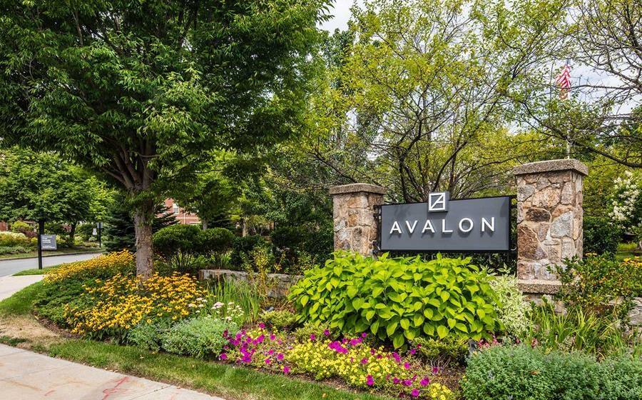 Apartment for rent at 99 Needham St, Newton Highlands, MA 02461