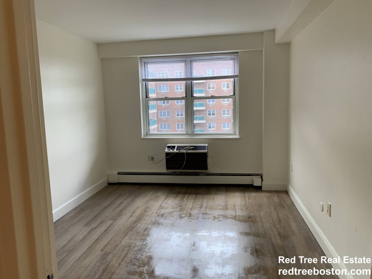 175 Freeman St, Brookline, MA 02446