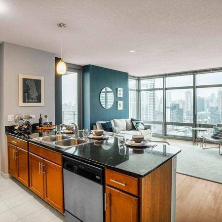 Apartment for rent at 585 W Kinzie, Chicago, IL 60661