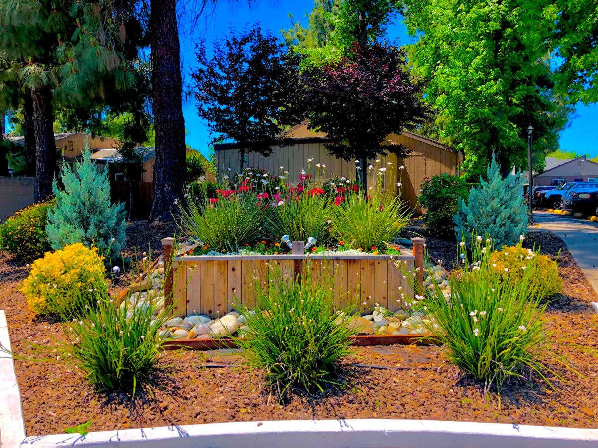 Apartment for rent at 5300 Laurel Hills Dr, Sacramento, CA 95841