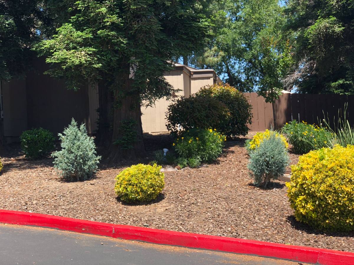 Apartment for rent at 5300 Laurel Hills Dr, Sacramento, CA 95841