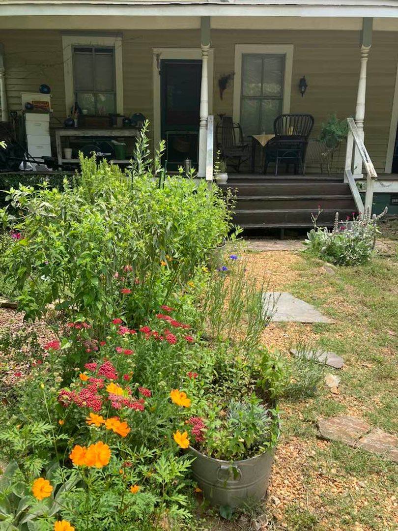 Apartment for rent at 135 Barrow St, Athens, GA 30601