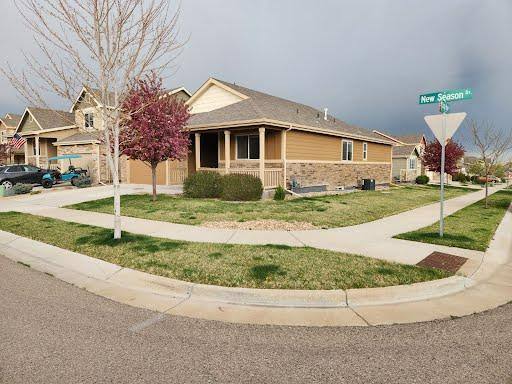 House for rent at 1515 New Season Dr, Windsor, CO 80550