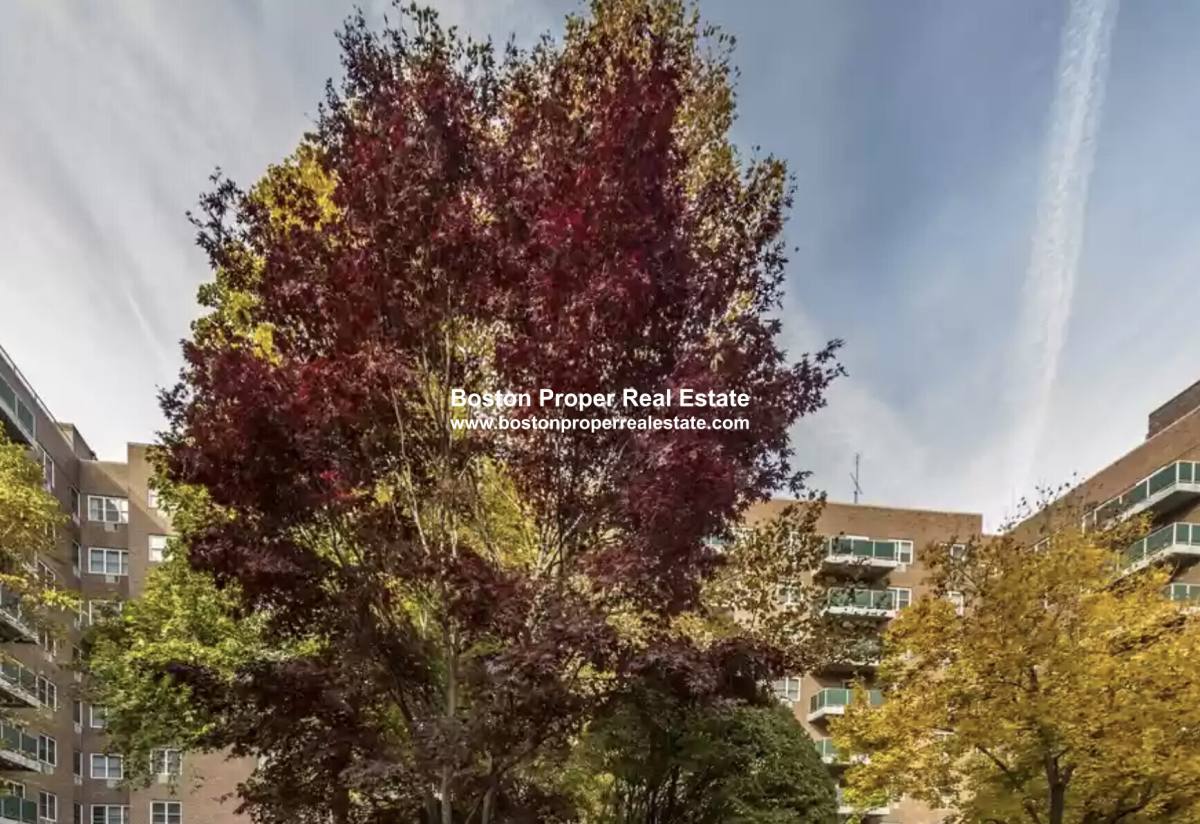 Apartment for rent at 185 Freeman St, Brookline, MA 02446