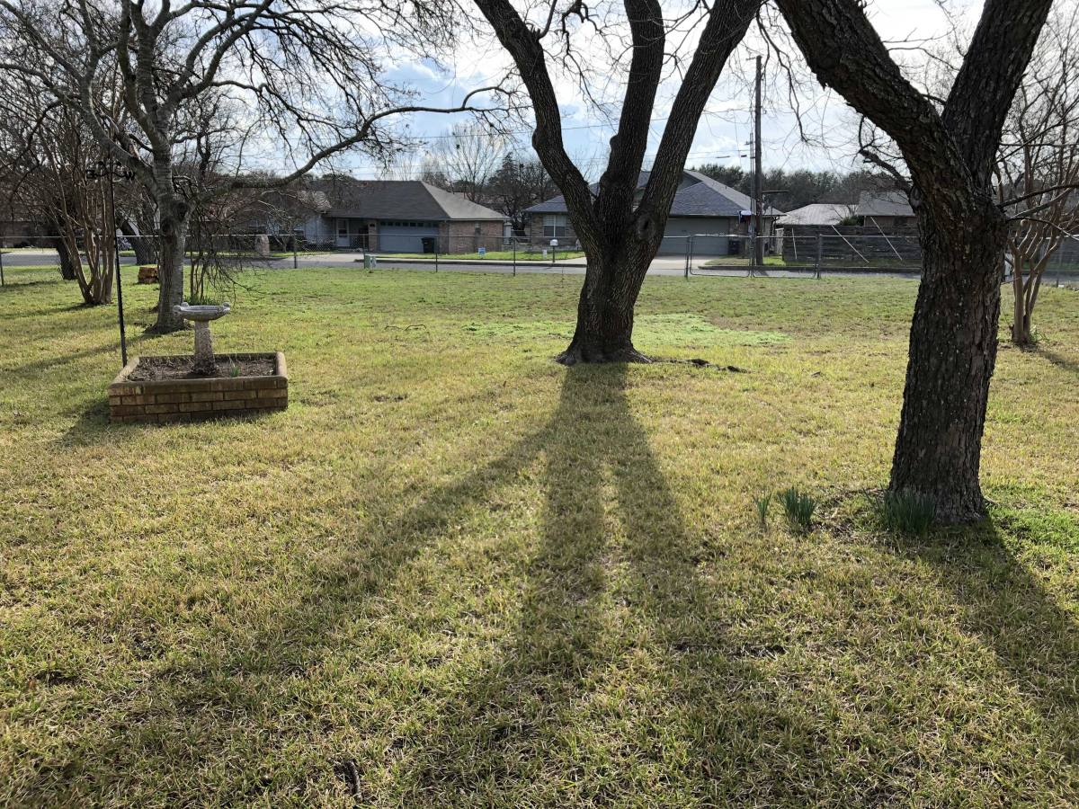 House for rent at 109 Broadmoor Dr, Fredericksburg, TX 78624