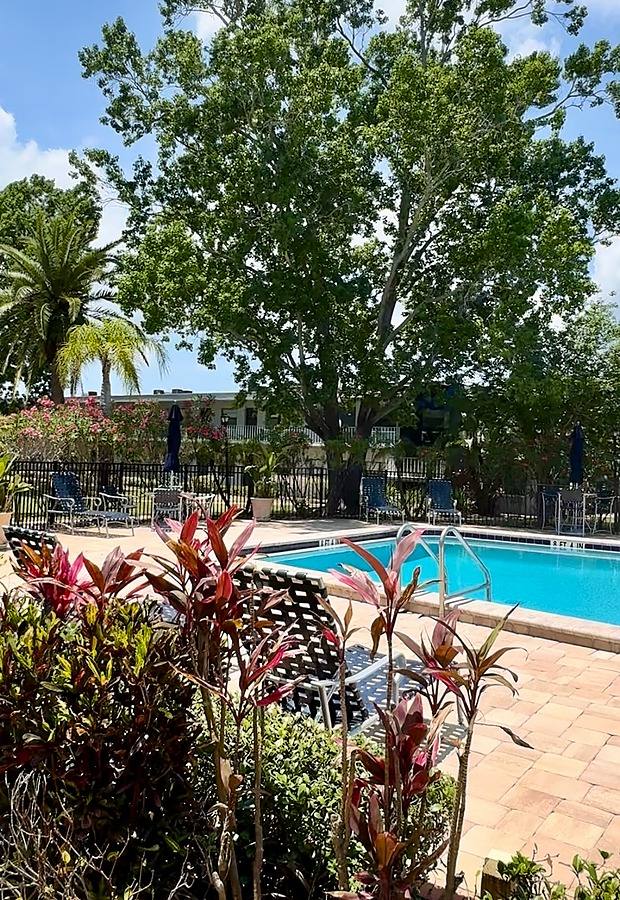Apartment for rent at 2037 Phillippe Parkway, Safety Harbor, FL 34695