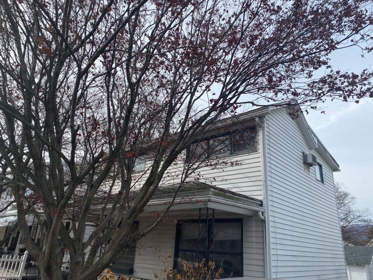 1817 Dickson Ave, Scranton, PA 18509 - House for Rent - Image 4