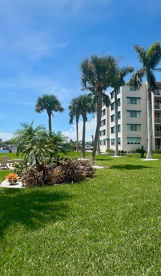 Apartment for rent at 1883 Shore Dr S, Saint Petersburg, FL 33707