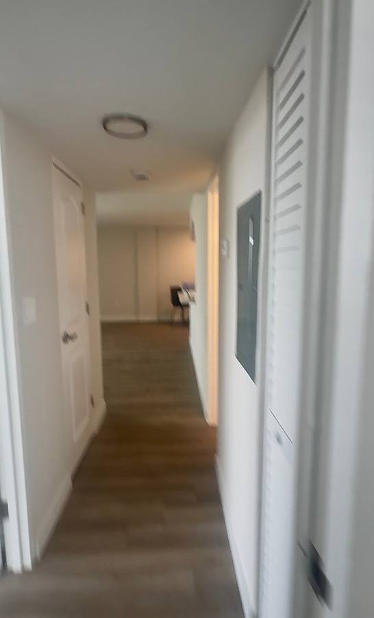 Apartment for rent at 1883 Shore Dr S, Saint Petersburg, FL 33707