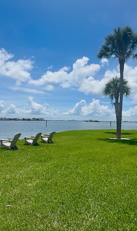Apartment for rent at 1883 Shore Dr S, Saint Petersburg, FL 33707