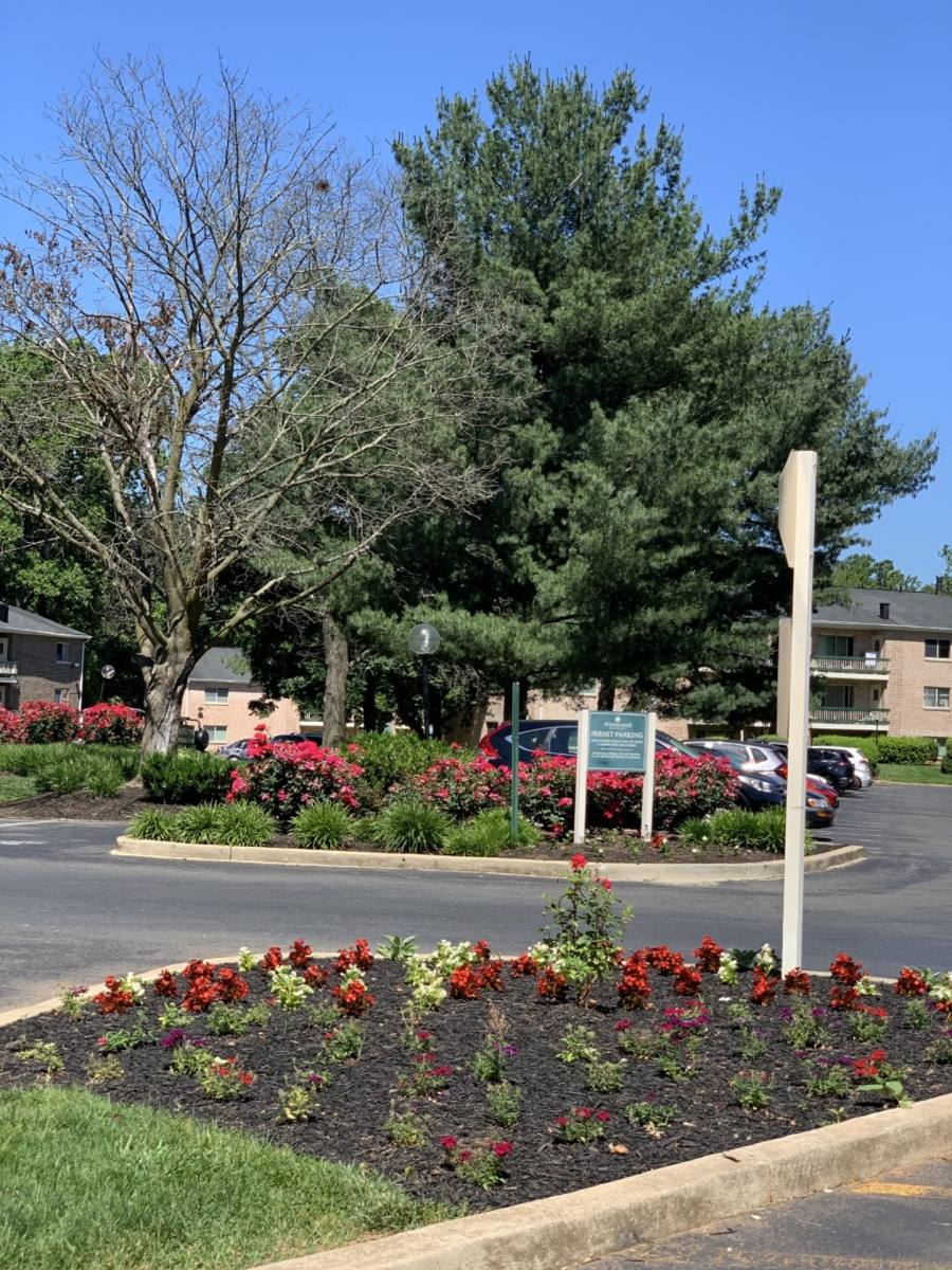 Apartment for rent at 14002 Cove Lane, Rockville, MD 20851