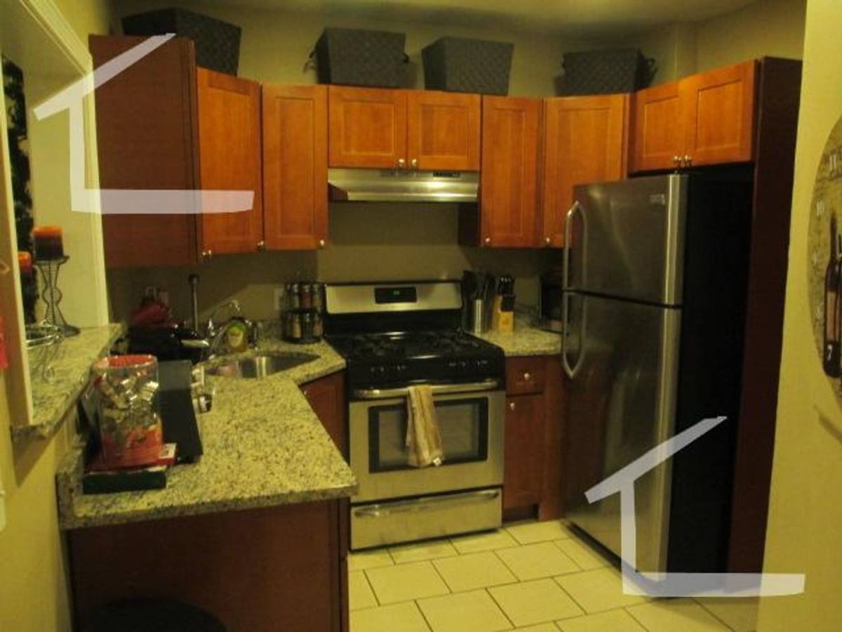 Apartment for rent at 33 Egmont St #1, Brookline, MA 02446