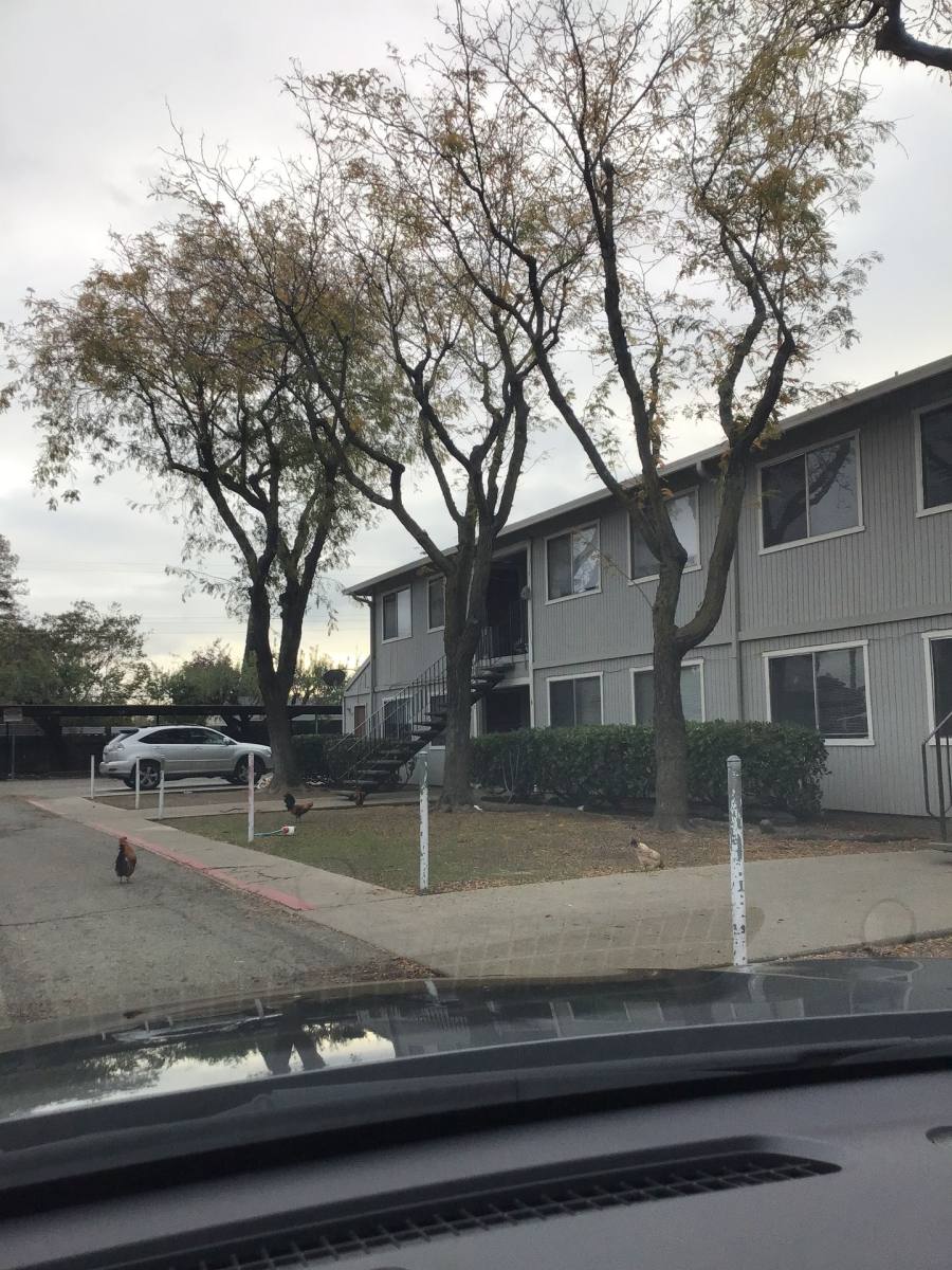 Apartment for rent at 1460 Whyler Rd, Yuba City, CA 95993