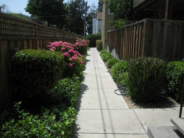 Apartment for rent at 2006 Klamath Ave, Santa Clara, CA 95051