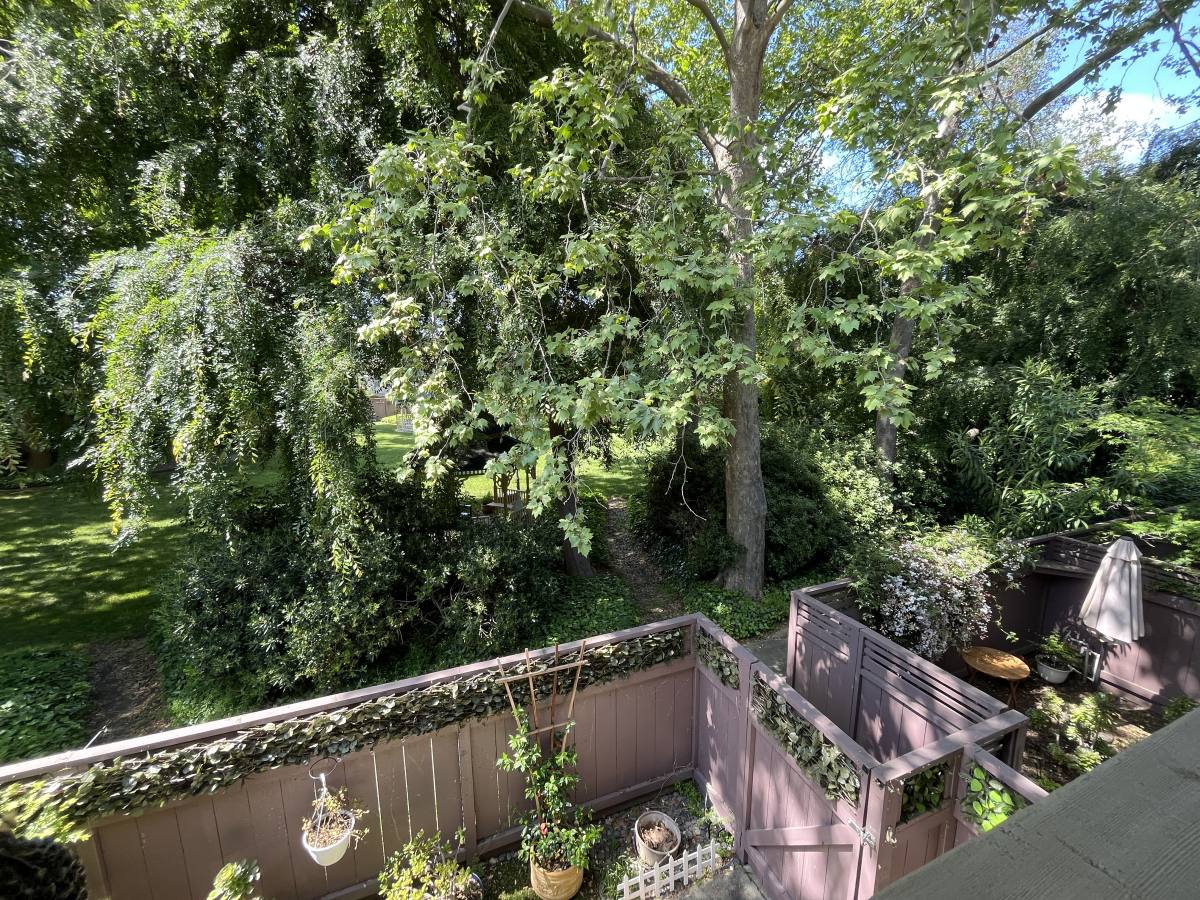 Apartment for rent at 240 Monroe Dr #205, Mountain View, CA 94040