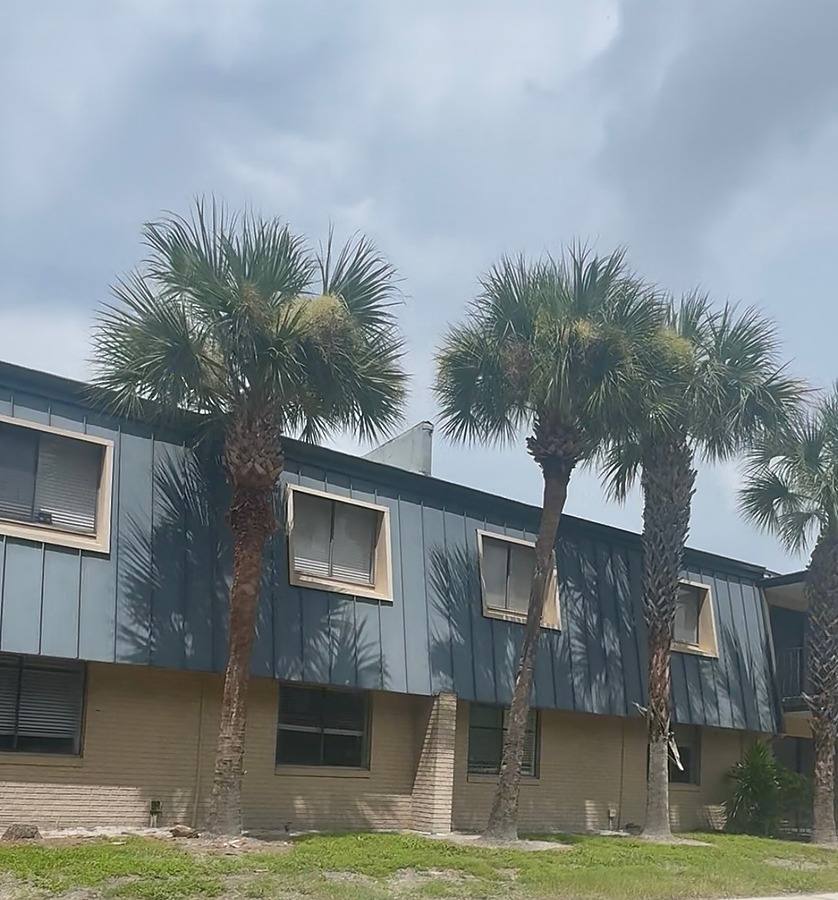 Apartment for rent at 4316 Ginger Cove Dr, Tampa, FL 33634