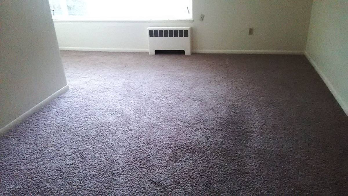 Apartment for rent at 328 Bellevue Ave E, Seattle, WA 98102