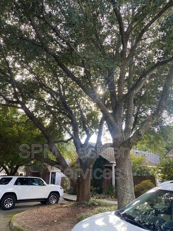 House for rent at 4210 Lake Ave, Wilmington, NC 28403