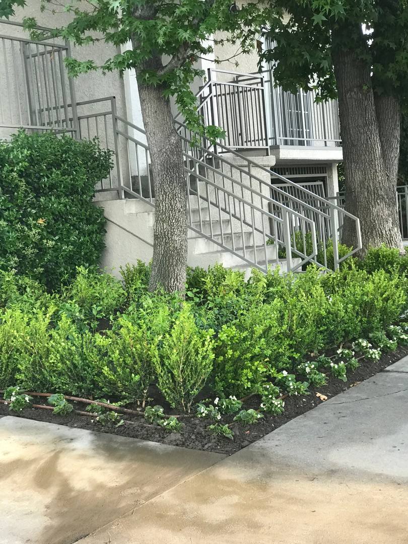 Apartment for rent at 6450 Woodman Ave, Van Nuys, CA 91401