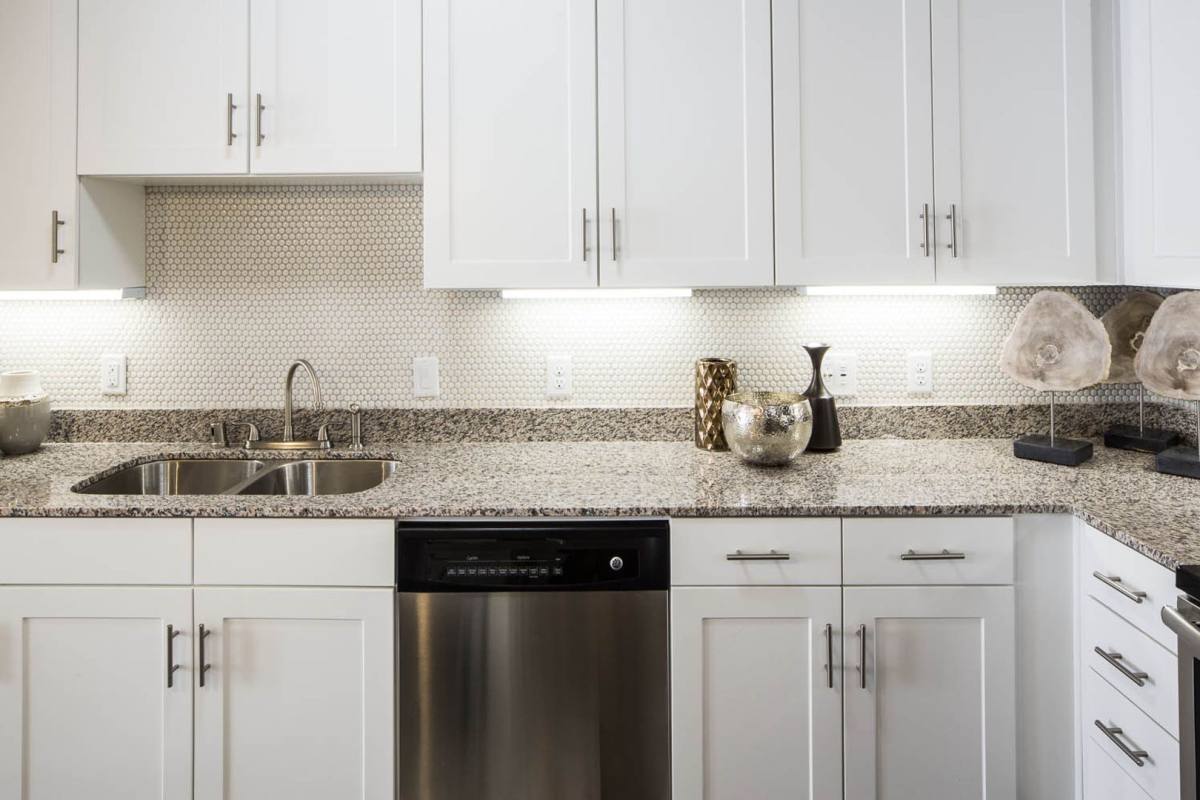 Apartment for rent at 801 & 908 N Bishop Ave, Dallas, TX 75208