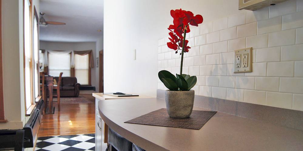Apartment for rent at 715-721 Elmwood Ave, Buffalo, NY 14222