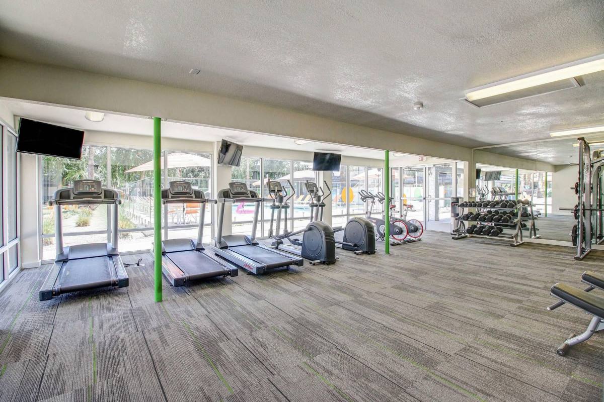 Apartment for rent at 710 S Hardy Dr, Tempe, AZ 85281