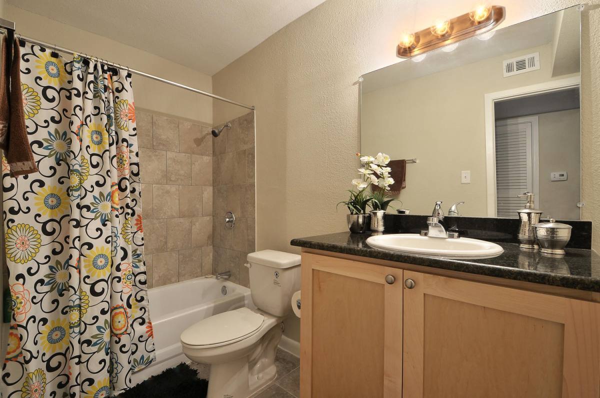 Apartment for rent at 1900 Burton Dr, Austin, TX 78741