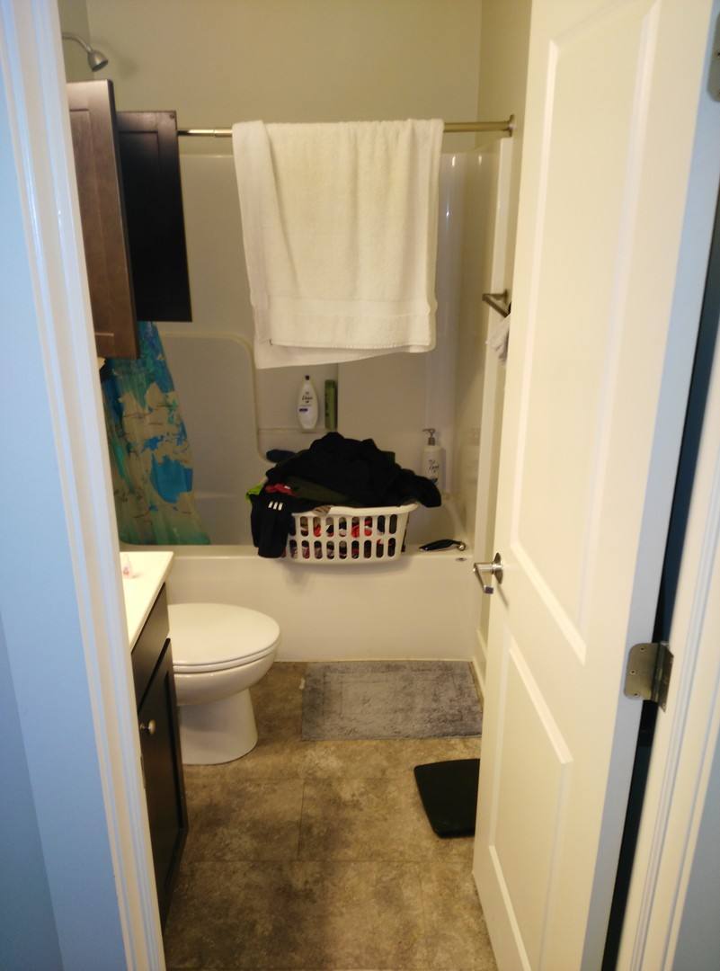 Apartment for rent at 338 S Walnut St, Bloomington, IN 47401