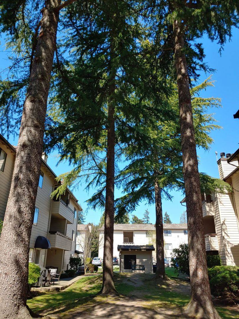 Apartment for rent at 13341 15th Ave NE, Seattle, WA 98125